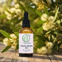 Honey Myrtle Oil