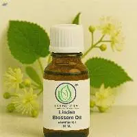 Linden Blossom Oil