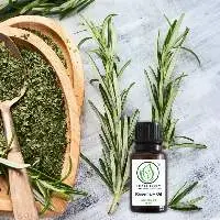 Rosemary Oil