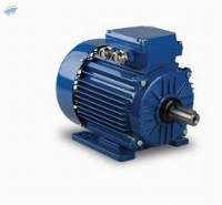 Electric Motors