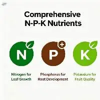 Granular Balanced NPK Compound Fertilizer