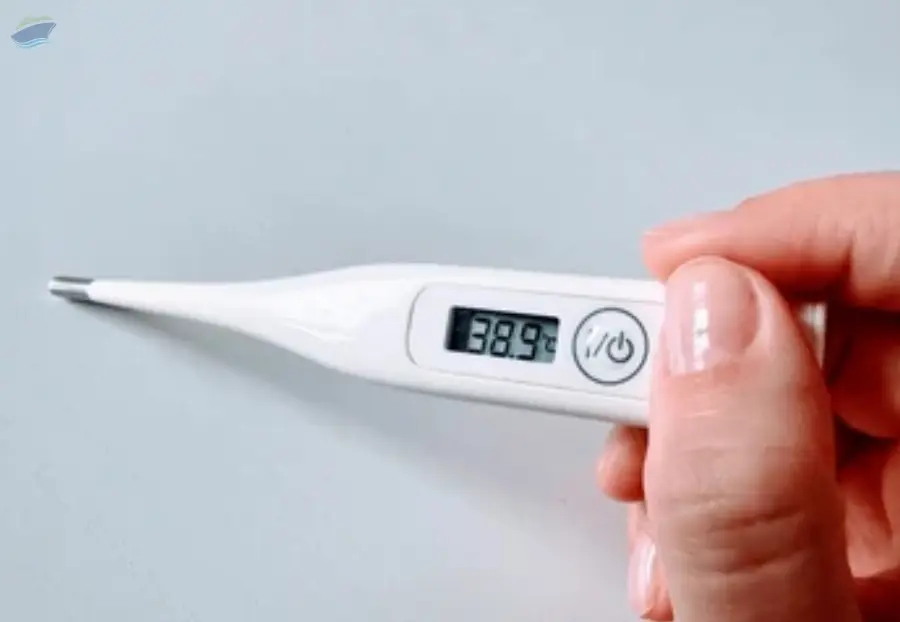Medical Thermometer