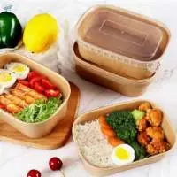 Rectangle Salad Container