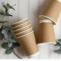 Double Wall Paper Cups