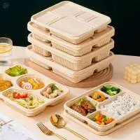 Meal Tray With Lid