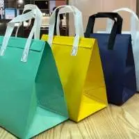 Laminated Non -Woven Bags