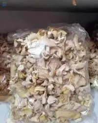 1kg Oyster Mushroom, Fresh