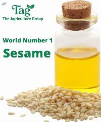 Sesame Seeds Premium Quality Agricultural Produc
