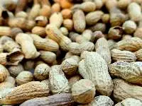 Peanuts (Groundnuts) Premium Grade A