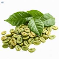 Green Coffee Beans Arabica