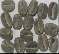 Arabica Plantation AA