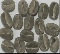 Arabica Plantation AA