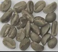 Arabica Plantation C