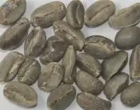 Arabica Plantation Bulk