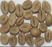 Robusta Cherry AB
