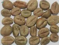 Robusta Cherry C