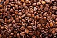 Roasted Arabica Plantation