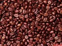 Roasted Robusta Cherry