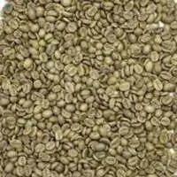 Arabica Washed Mysore Nuggets Extra Bold