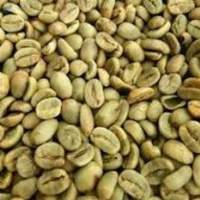 Robusta Kaapi Royale Coffee Beans