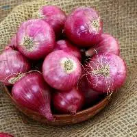 Wholesale Price Fresh Onion Supply