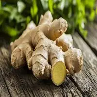 Wholesale Fresh Ginger 150g-300g