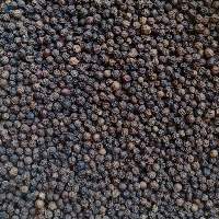Buy Export Quality Black Pepper