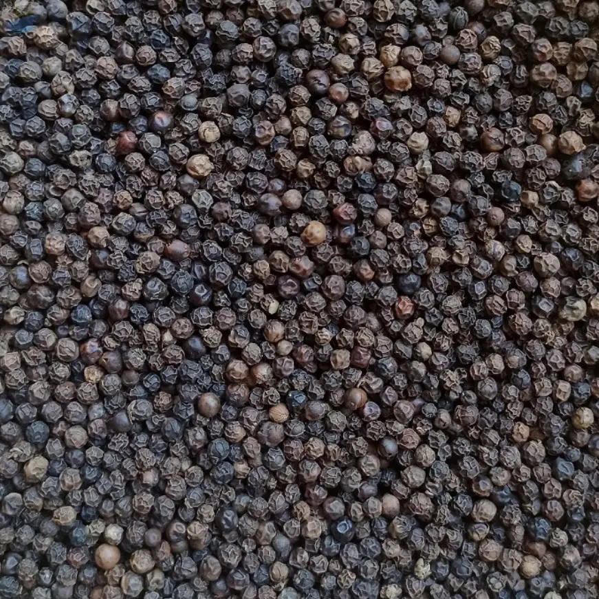 Buy Export Quality Black Pepper