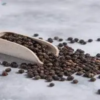 Buy Best Quality Whole Black Pepper