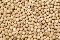 Wholesale Price White Pepper Supply