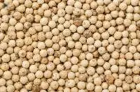 Wholesale Price White Pepper Supply