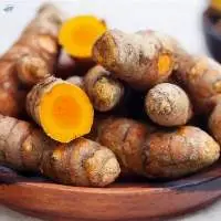 Fresh Turmeric Root