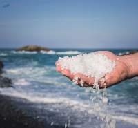 Fresh Sea Salt Premium Quality Mineral