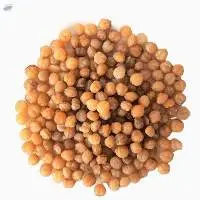 Djansang Seeds  