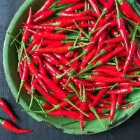 Bird's Eye Chili