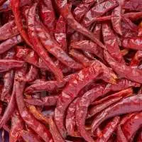 Premium Dried Chillies