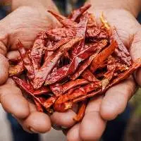 Red Dried Chillies