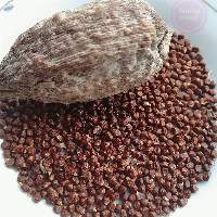 Dried Alligator Pepper Cheap 