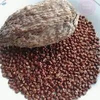Dried Alligator Pepper Cheap 