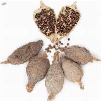 Wholesale Price Alligator Pepper Pack