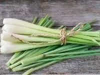 Premium Quality Fresh Lemongrass