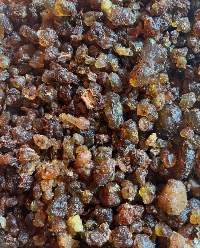 Commiphora Myrrha