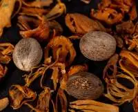 Nutmeg