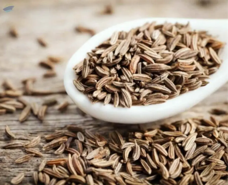 Cumin