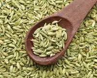 Fennel