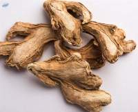 Dry Ginger