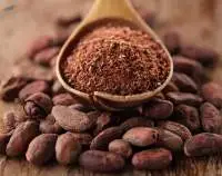 Cocoa Bean