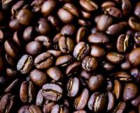 Coffee Bean