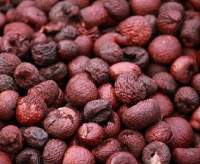Areca Nut / Betel Nut