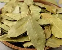 Bay Leaf